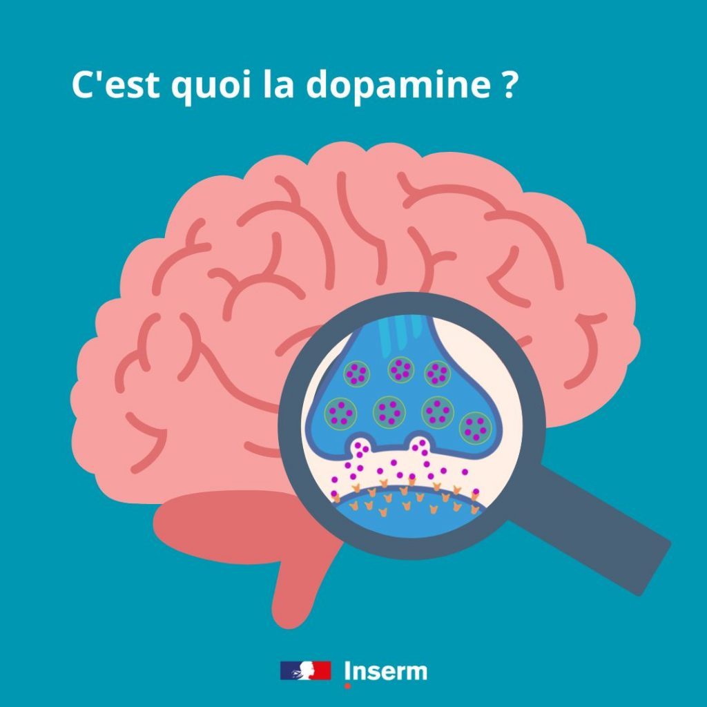 Pour le plaisir : C'est quoi la dopamine ? 🧠😊 · Inserm, La