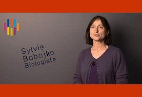 Sylvie Babajko, biologiste